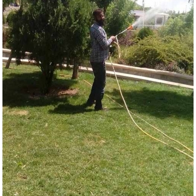 اجرای عملیات سم پاشی درختان و گل های آفت دیده در شهر پرند