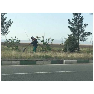 اجرای عملیات گسترده علف کشی در سطح شهر پرند