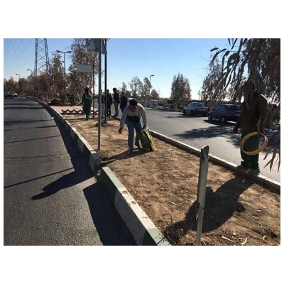 اجرای عملیات کاشت چمن در بلوار امام خمینی (ره) شهر پرند