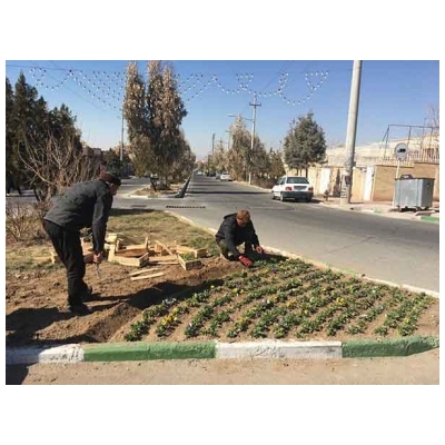 آغاز عملیات کاشت گل های فصلی شهر پرند در طرح استقبال از بهار
