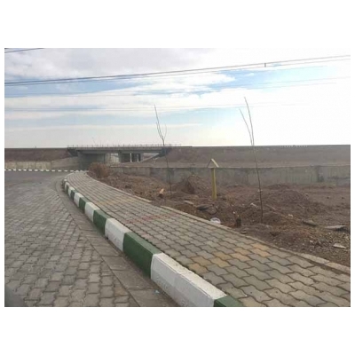 اجرای عملیات کاشت 250 اصله نهال از بلوار حضرت خدیجه (س) تا میدان بصیرت