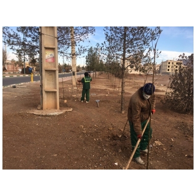اجرای طرح درختکاری در بلوار چمران، پارک فدک و بلوار علامه طباطبایی