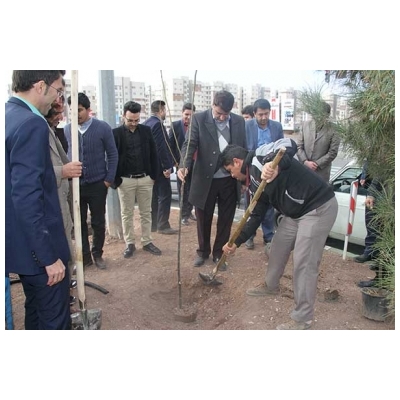 اجرای طرح درختکاری در بلوار چمران، پارک فدک و بلوار علامه طباطبایی