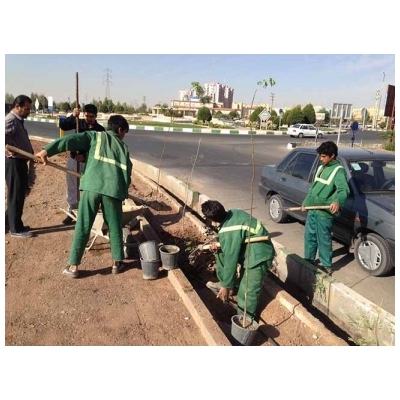 کاشت 150 اصله نهال از میدان امام خمینی (ره) تا رستوران بزرگ پرند
