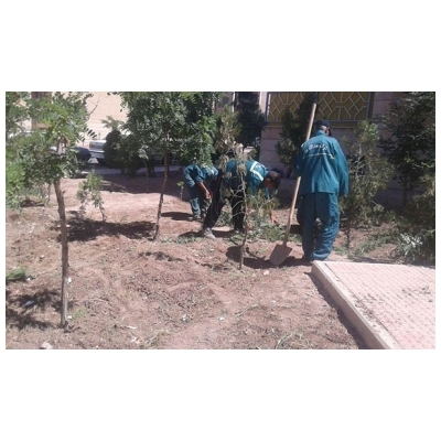 علف کشی در بلوارهای اصلی سطح شهر