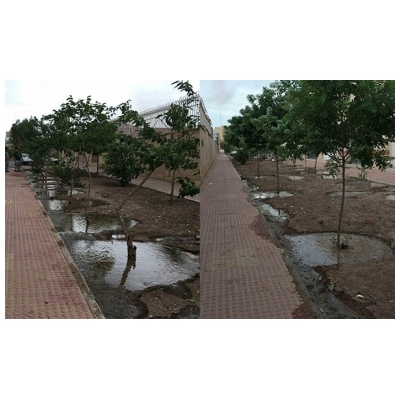 آبیاری شبانه فضای سبز شهر پرند به دلیل گرمای هوا