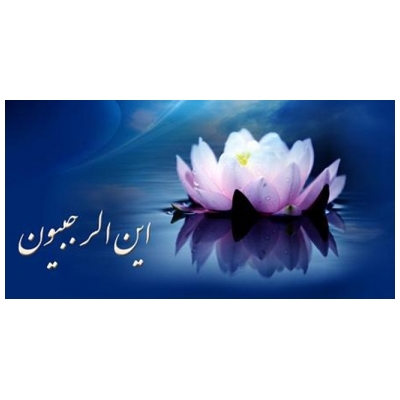 این الرجبیون؟ ...