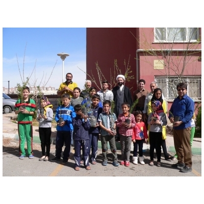 کاشت نهال در مجتمع های شهرک آفتاب توسط نوجوانان پرندی