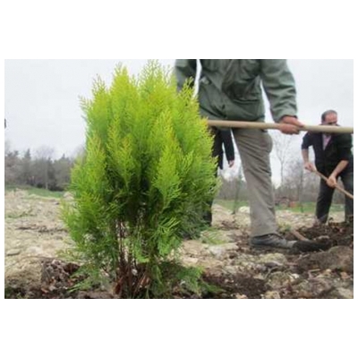 فضای سبز پرند را با روش های نوین تقویت و توسعه خواهیم داد.