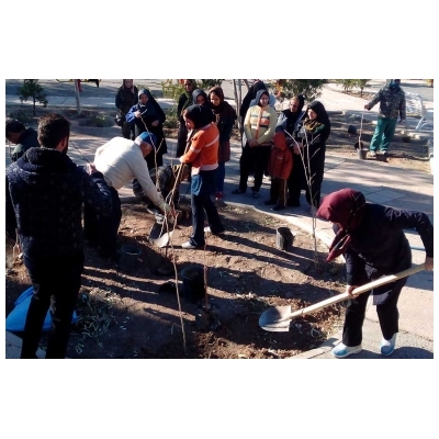 چاله زنی در پارک بهشت و کاشت نهال توسط ورزشکاران در هفته منابع طبیعی