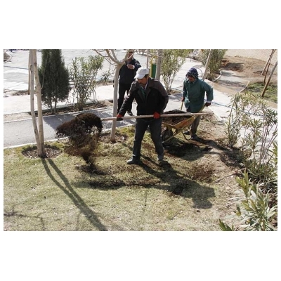 کودپاشی و هرس فضای سبز محوطه سازمان آتش نشانی