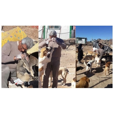 سگ های جمع آوری شده در پناهگاه شهرداری پرند معاینه و واکسینه شدند