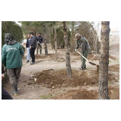 گزارش تصویری از تشتک زنی فضای سبز فاز یک ضلع جنوبی بلوار علامه طباطبایی