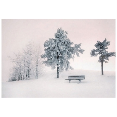 توصیه های مدیر عامل آتش نشانی و ایمنی شهرداری پرند در روزهای برفی