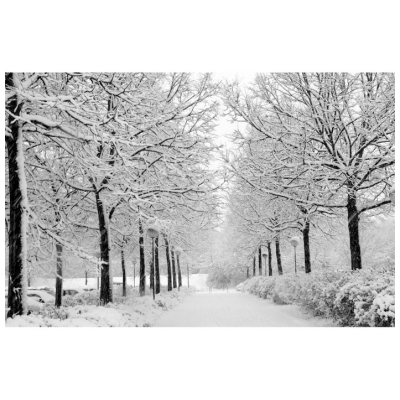 توصیه های ایمنی در فصل سرما را جدی بگیریم