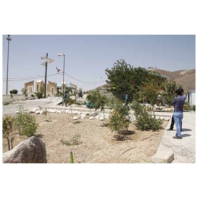 عملیات احداث اولین باغ گیاه&zwnj;شناسی در شهر جدید پرند آغاز شد