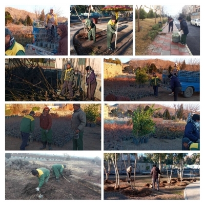 کاشت نهال در 2 هکتار از اراضی ورودی شهر پرند