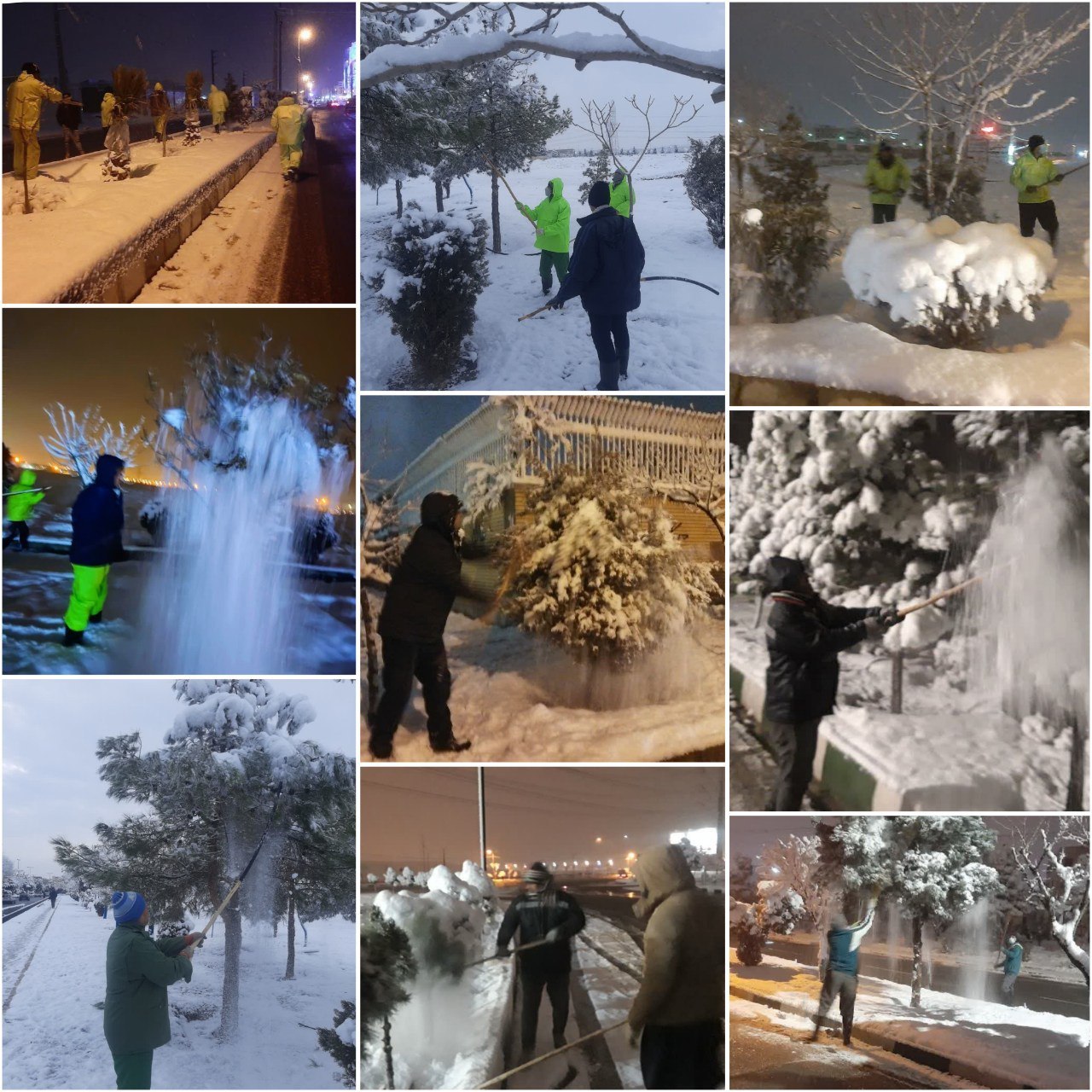 اجرای عملیات برف تکانی درختان توسط نیروهای شهرداری پرند