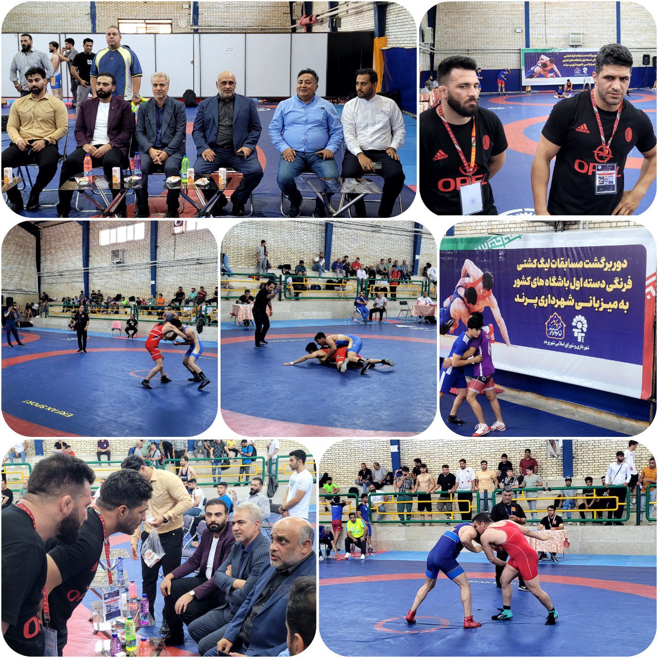 فرنگی کاران پرند خوش درخشیدند