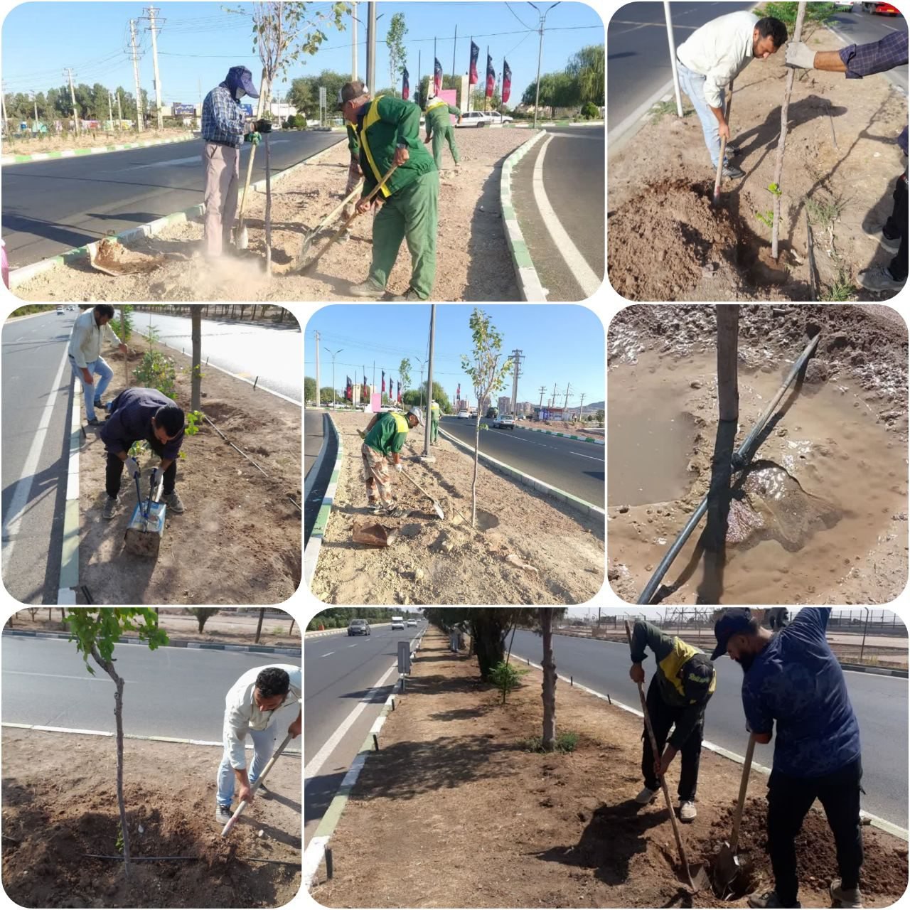 اجرای عملیات کاشت درخت و آبیاری قطره ای در بلوار شهدای مالیات شهر پرند