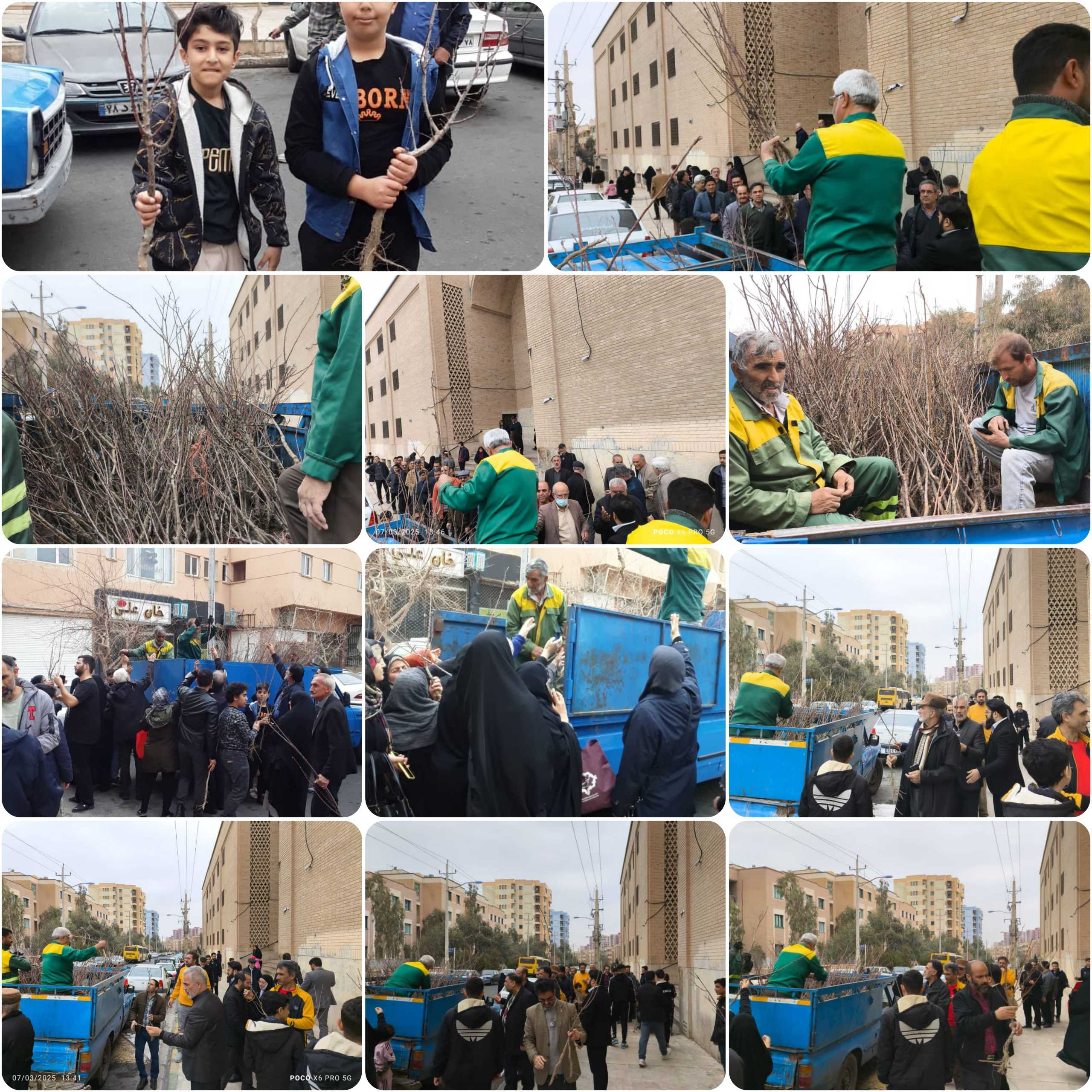 توزیع نهال میوه رایگان بعد از نماز جمعه