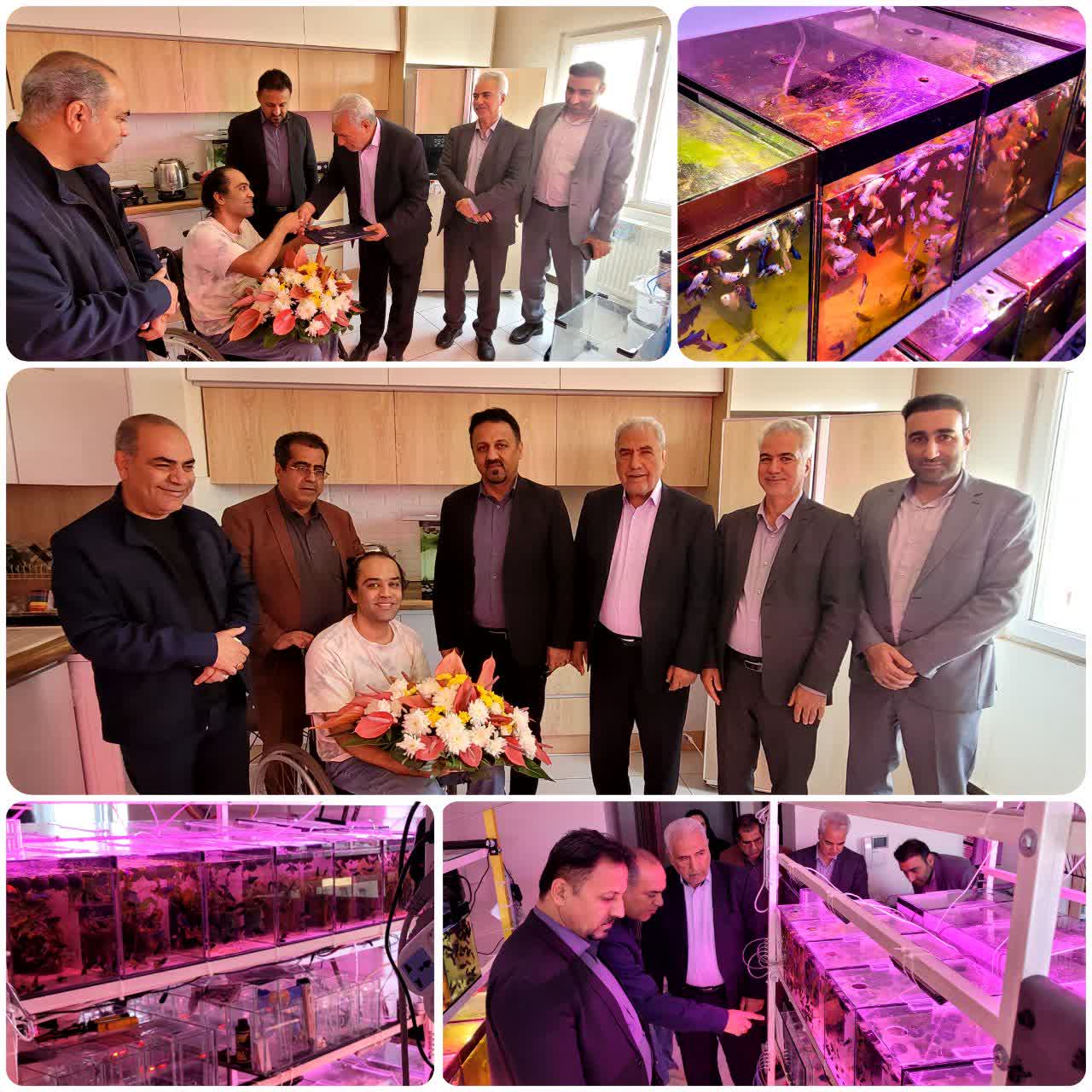 تجلیل مدیران شهری پرند از کارآفرین معلول