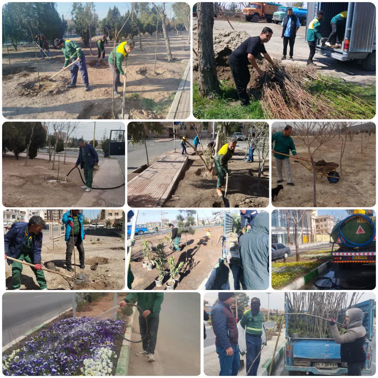 کاشت هزاران اصله انواع نهال مثمر در شهر پرند