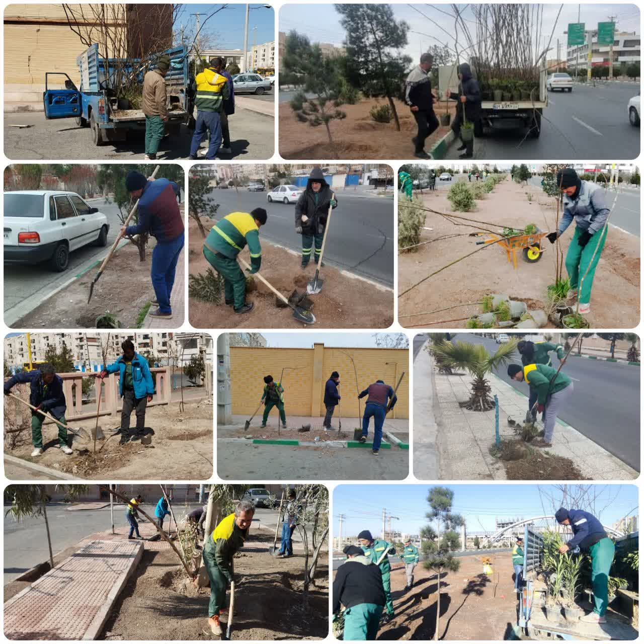 کاشت هزاران اصله درخت در پرند